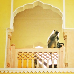 20130408-112924.jpg