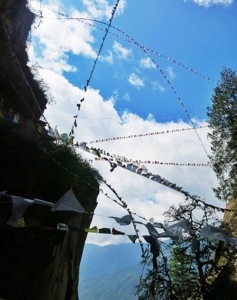 20130501-222218.jpg