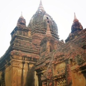 20130505-193538.jpg
