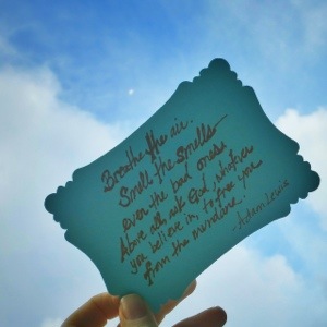 20130519-180233.jpg